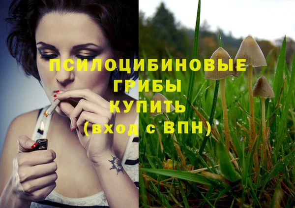 прущий лед Елизово