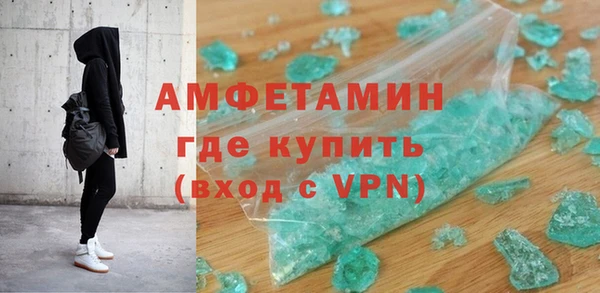 индика Инта
